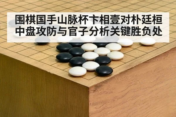 围棋国手山脉杯卞相壹对朴廷桓中盘攻防与官子分析关键胜负处