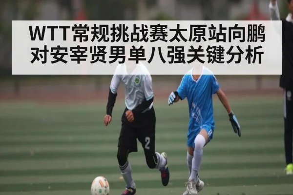 WTT常规挑战赛太原站向鹏对安宰贤男单八强关键分析 - ANBOSPORT